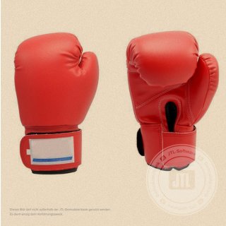 Boxhandschuhe